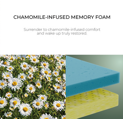 Heim Nest - Chamomile Foam Mattress 10" inch