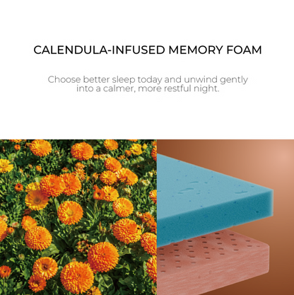 Heim Nest - Calendula Foam Mattress 12" inch